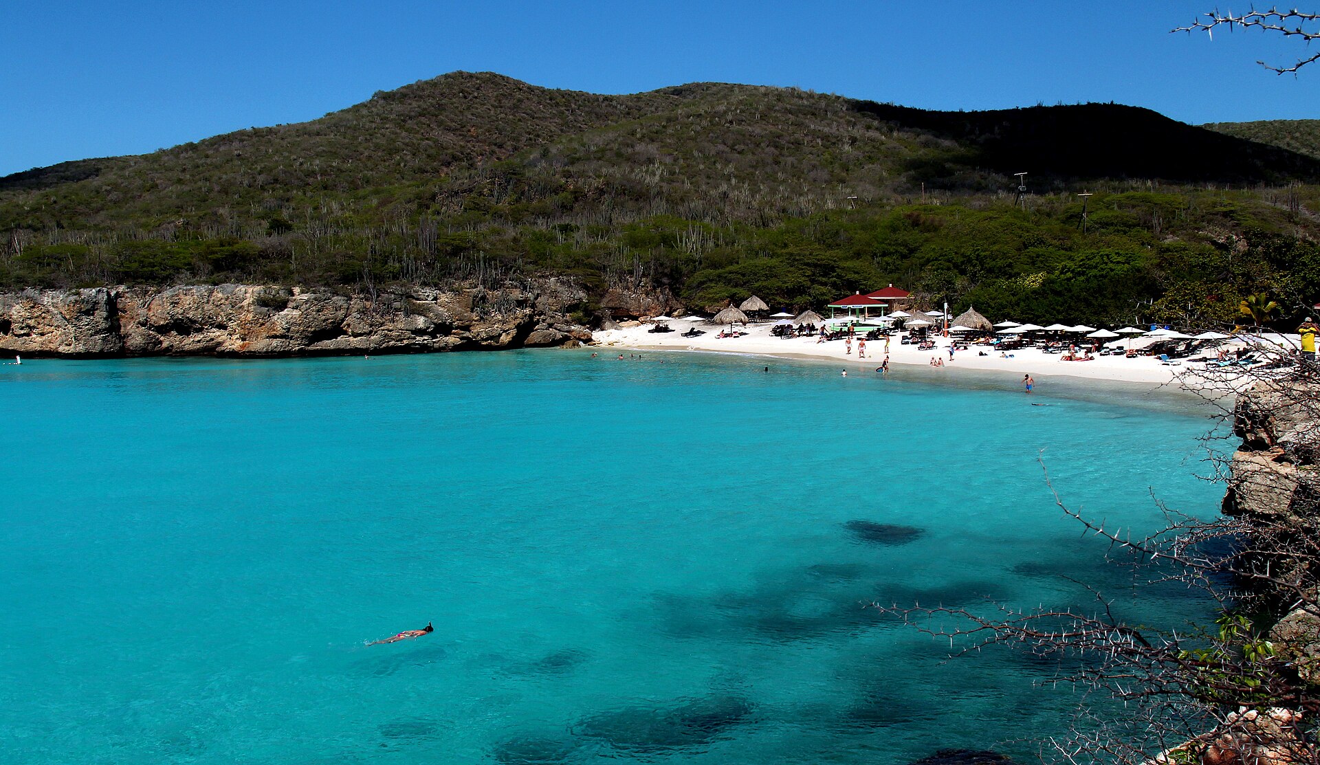 Turquoise Caribbean beach with white sand
